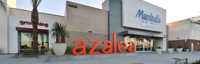 azela sign